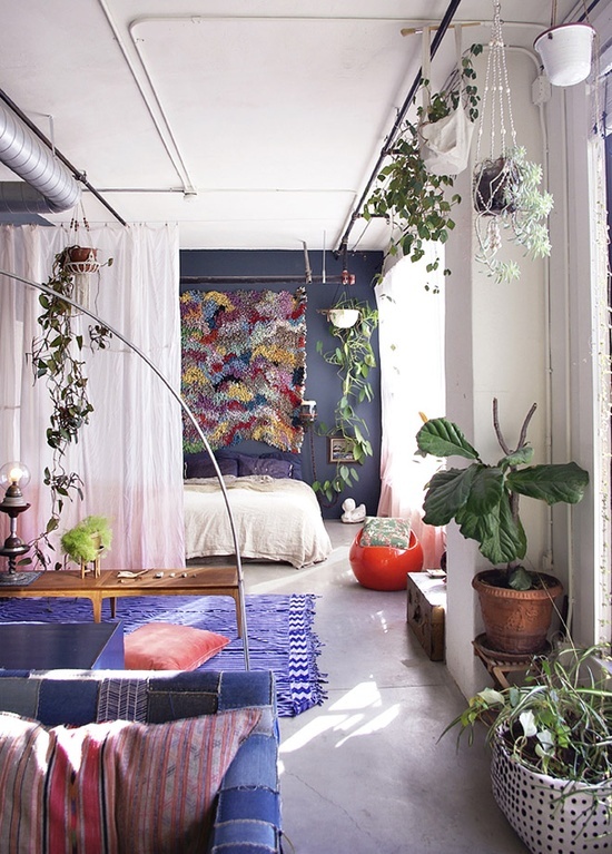 Decora o Com Plantas