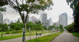 Vista do bairro de Moema, com parte do Parque do Ibirapuera a esquerda e prédios ao fundo.